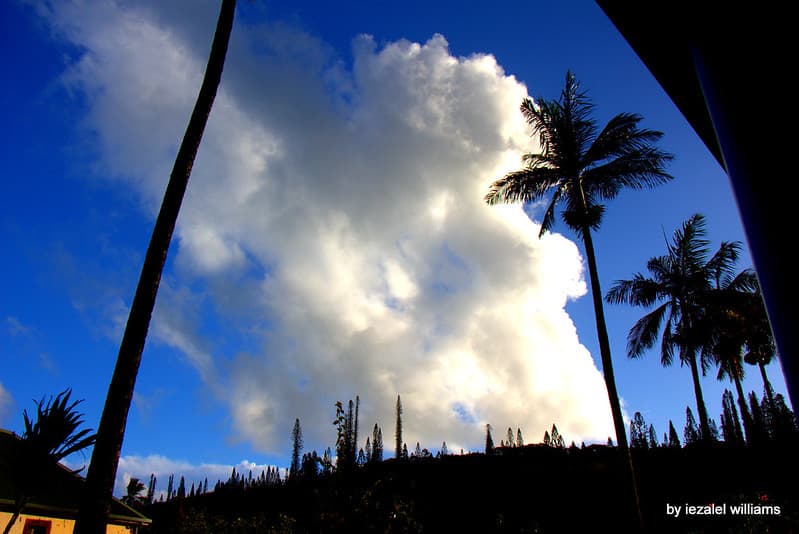 White Cloud IMG 9912