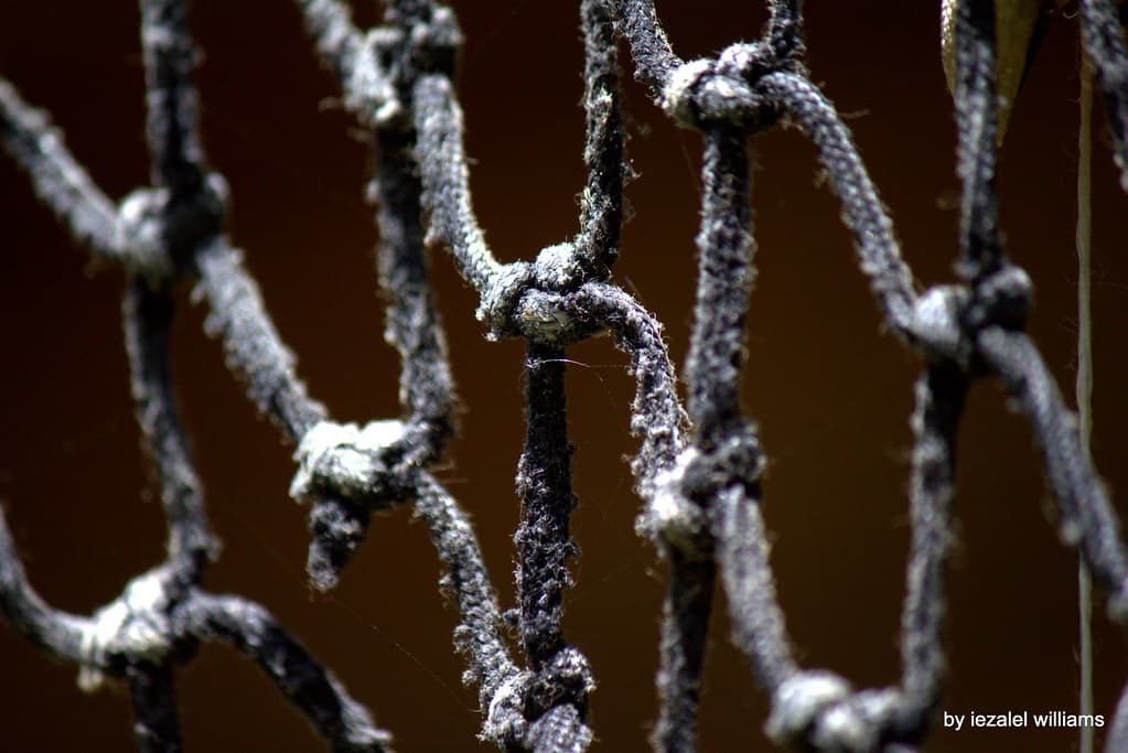Abstract, canoneosd, closeup