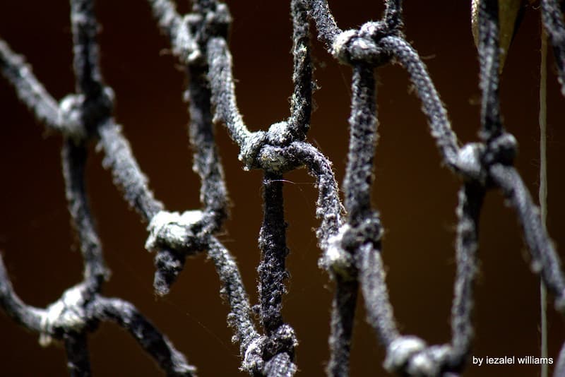 Abstract, canoneosd, closeup