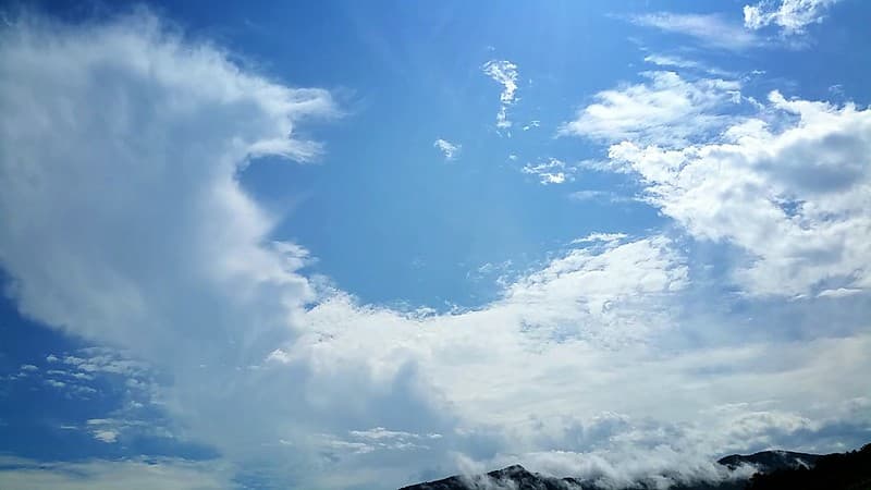 August 01, 2019 after the rain 10:24AM hand of god