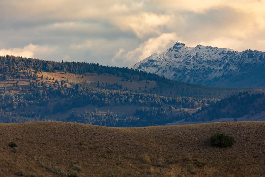 Fresh snow on Monitor Peak near Mammoth Hot Springs