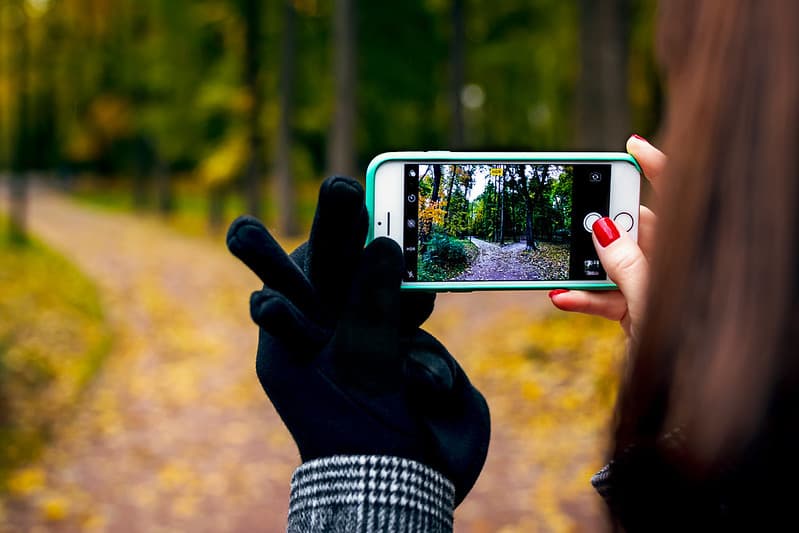 Woman hand with smartphone. Fall background.