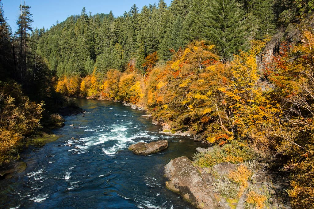 Umpqua River, Oregon, Fall color