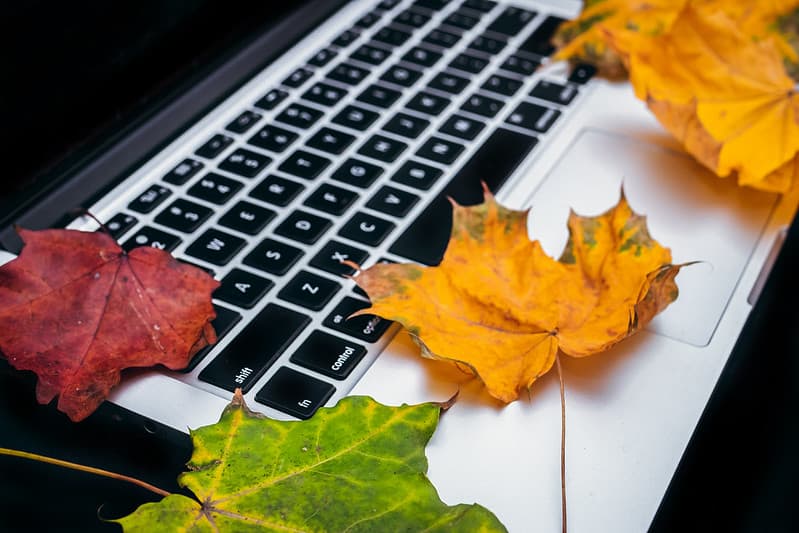 Autumn, autumnleaves, autumnsale