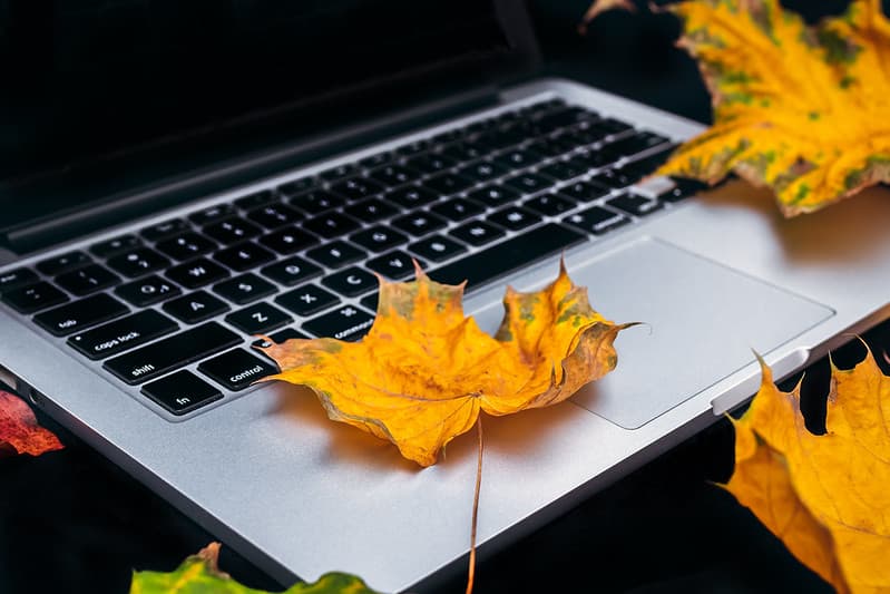 Autumn, autumnleaves, autumnsale