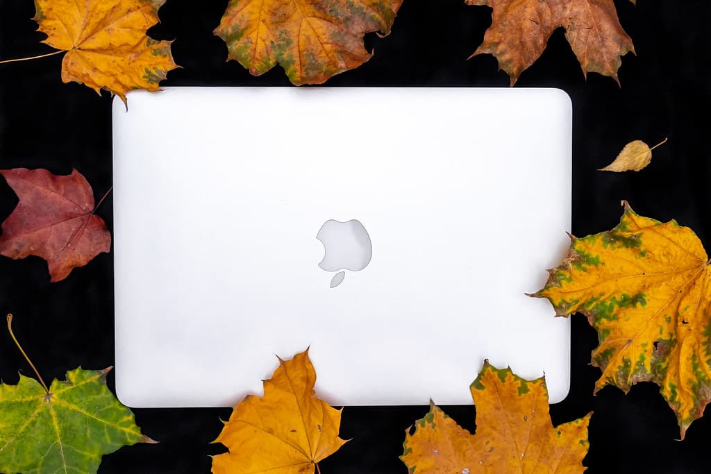 Autumn, autumnleaves, autumnsale