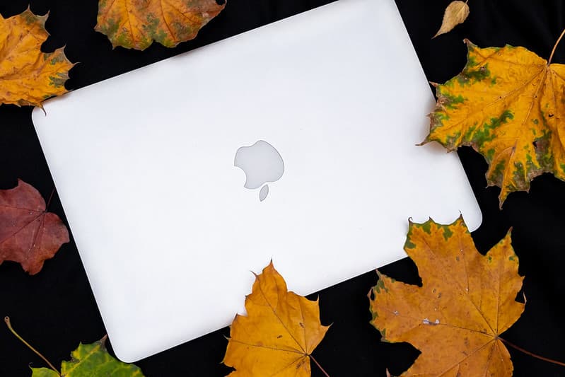 Autumn, autumnleaves, autumnsale