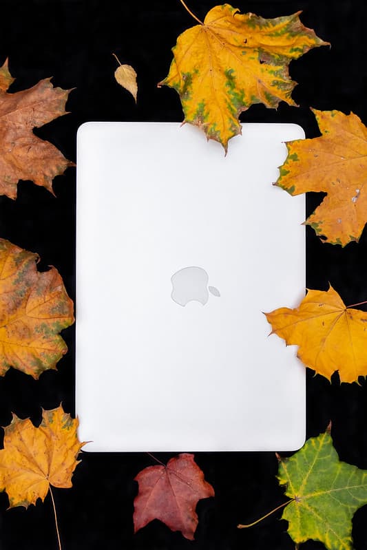 Autumn, autumnleaves, autumnsale