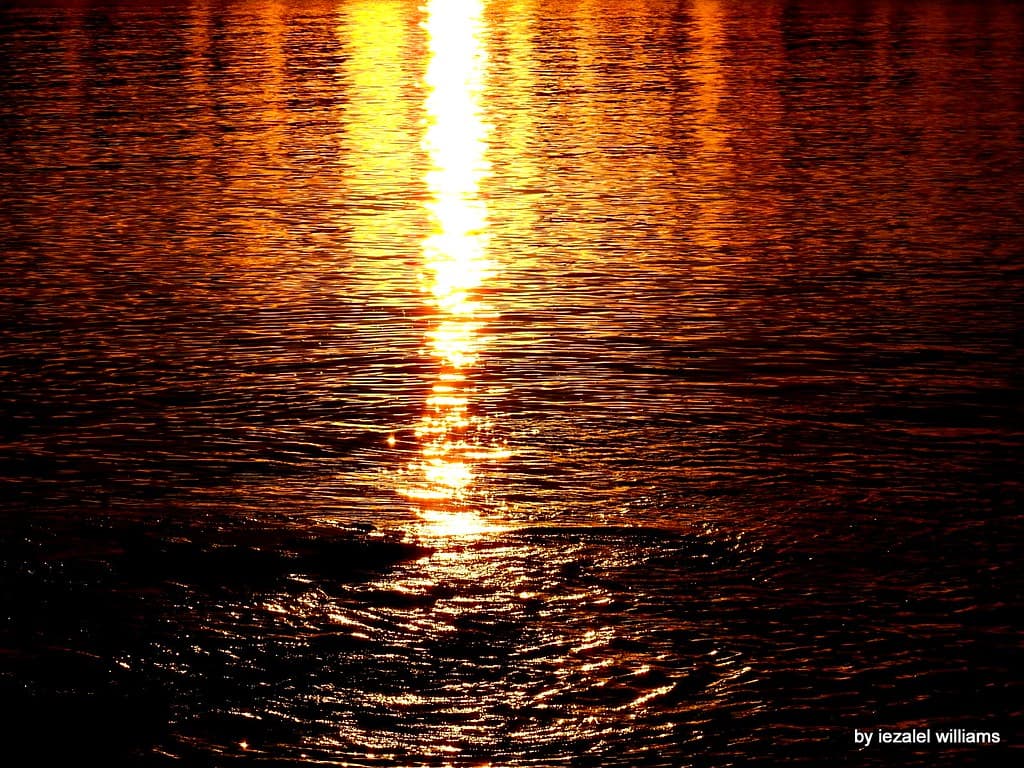 Be the Light to Others DSCN3324