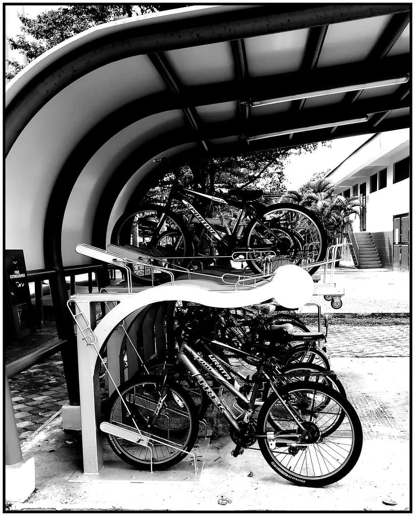 Bicycle rack