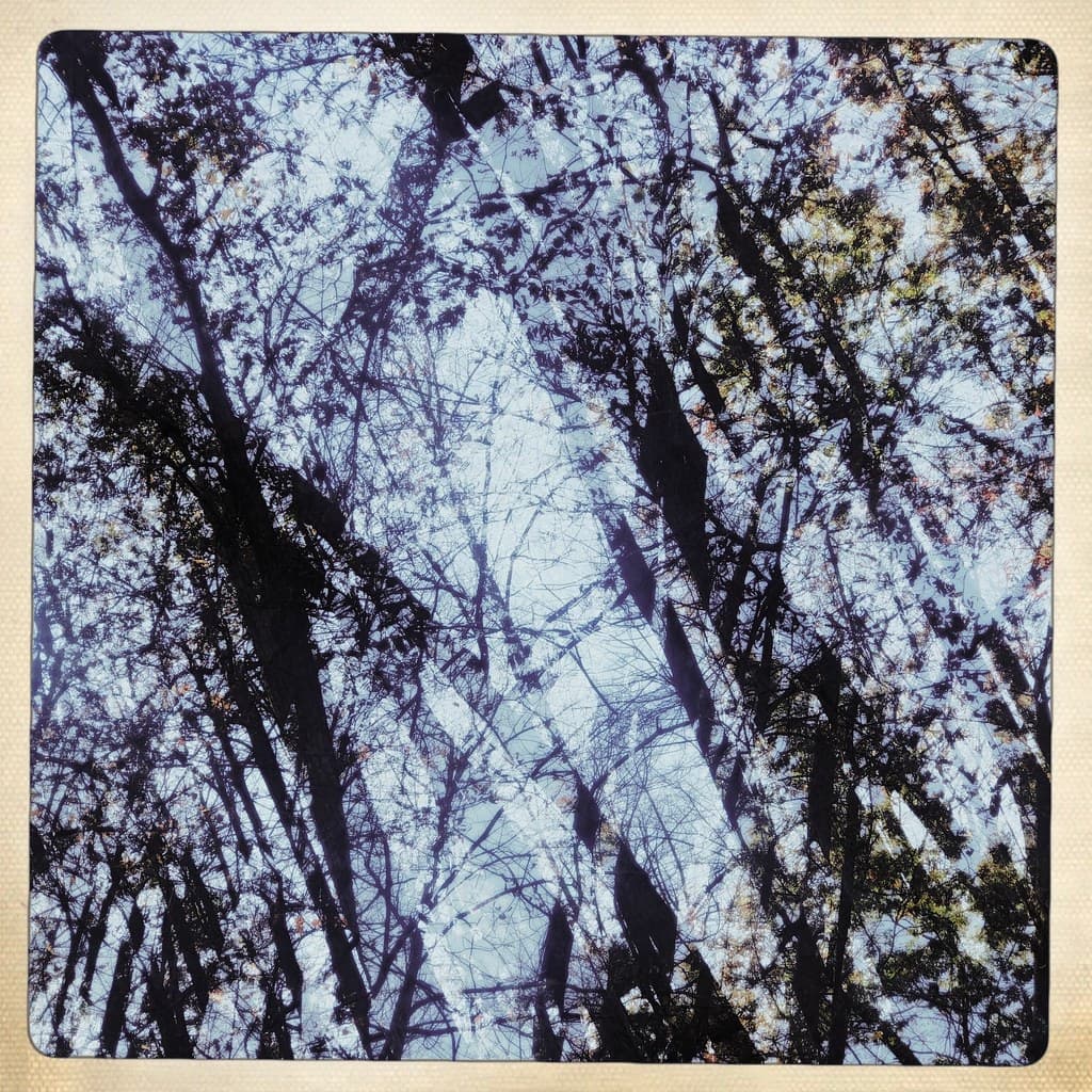 Fall Abstract