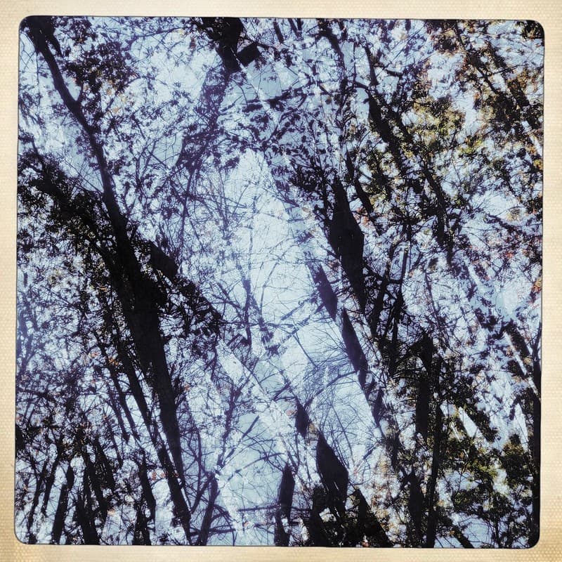Fall Abstract