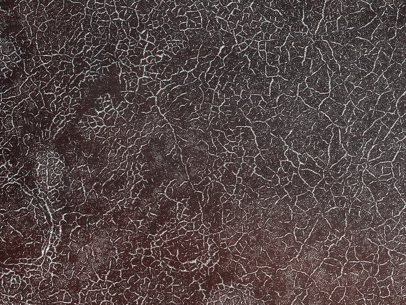 Polygonal Patterns Highlighted by Frost