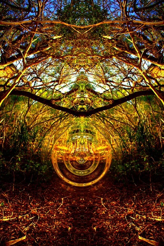 Abstract - Sacred Portal - The secret space program disclosure