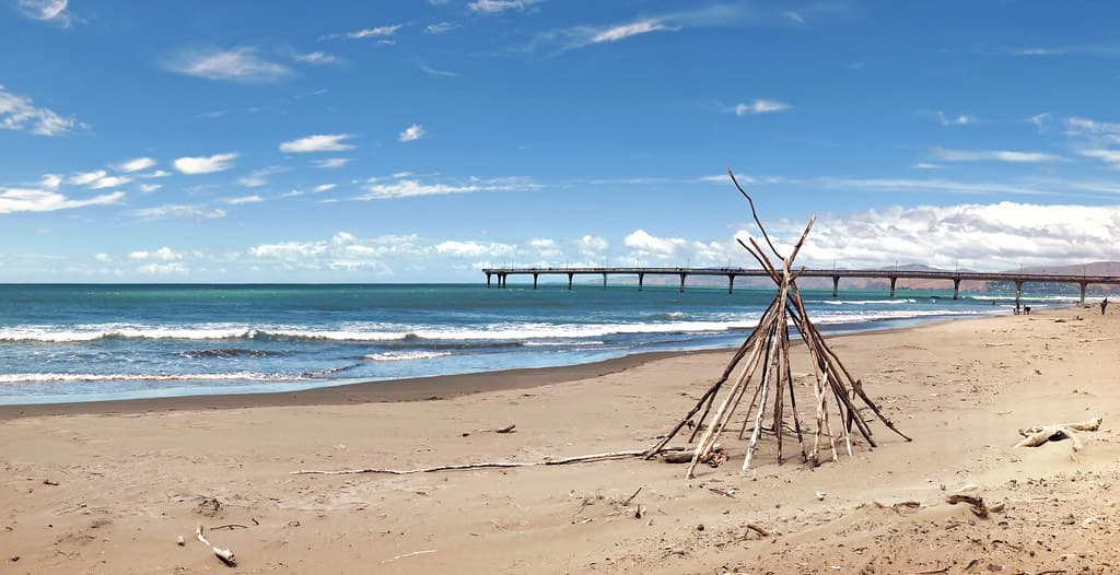 On the beach.