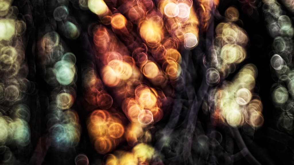 A forest