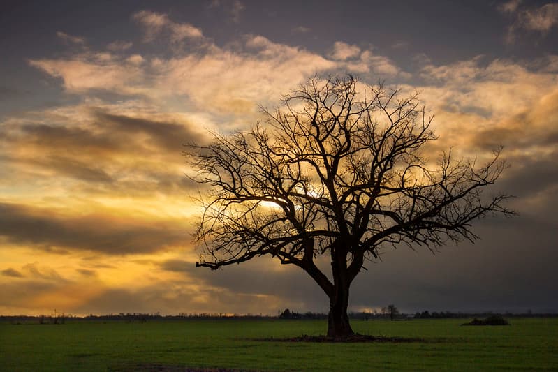 Storm clouds moving across the Willamette Valley, Oregon