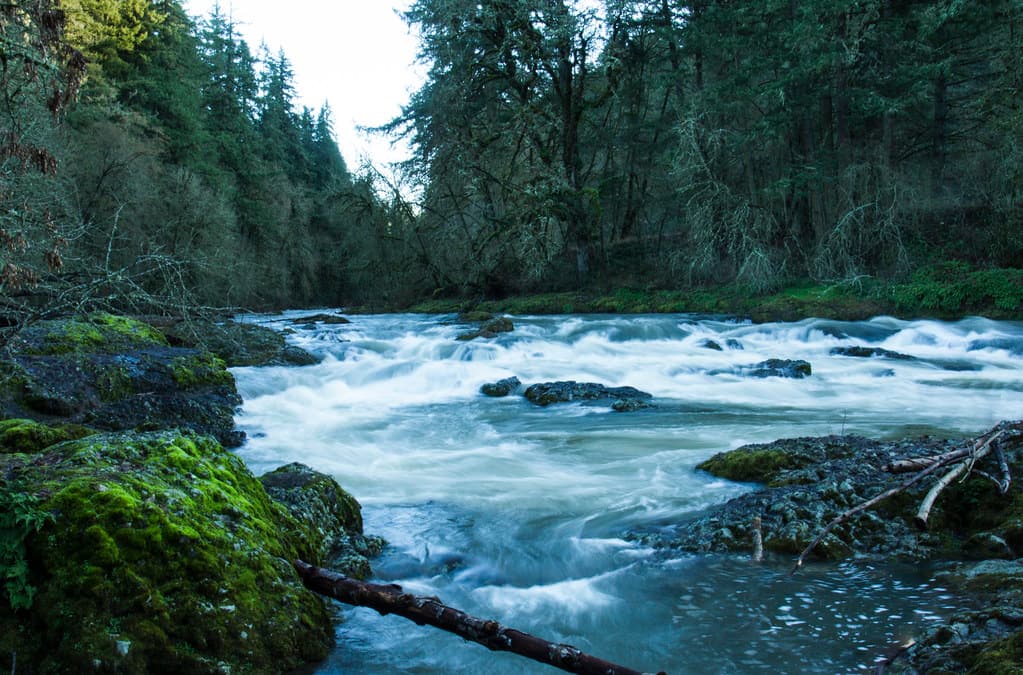 Calapooia River, Oregon