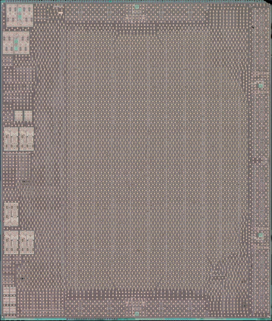Amd, auflicht, brightfield