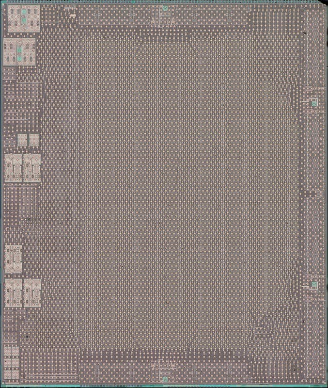 Amd, auflicht, brightfield