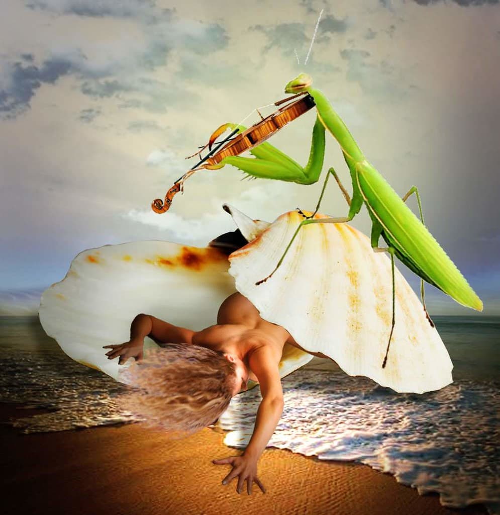 A violin solo for Venus