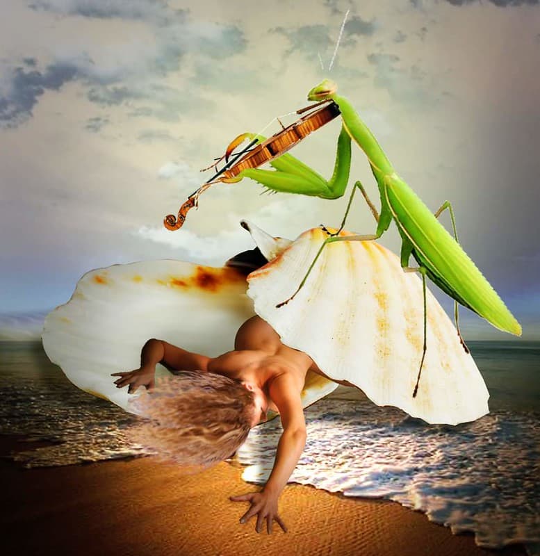 A violin solo for Venus