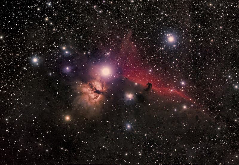 Flame and Horse Head Nebulae