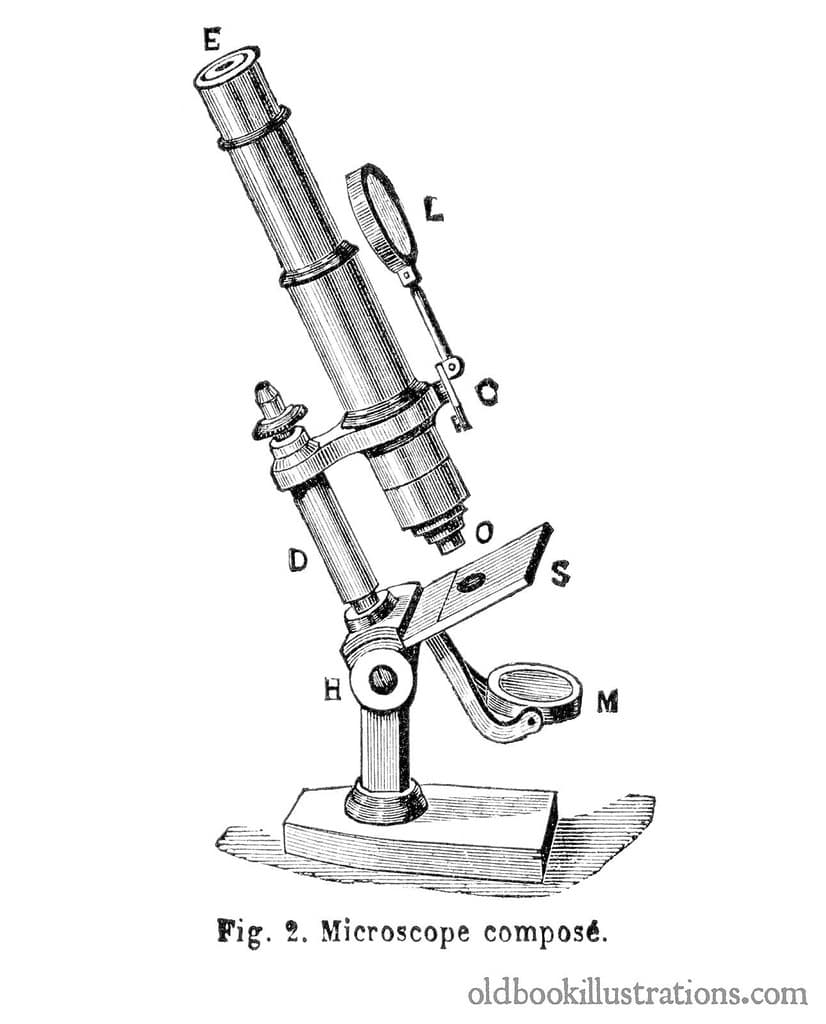 Microscope-1600