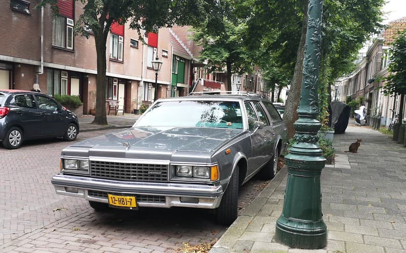 Chevrolet Caprice Classic Wagon and a cat
