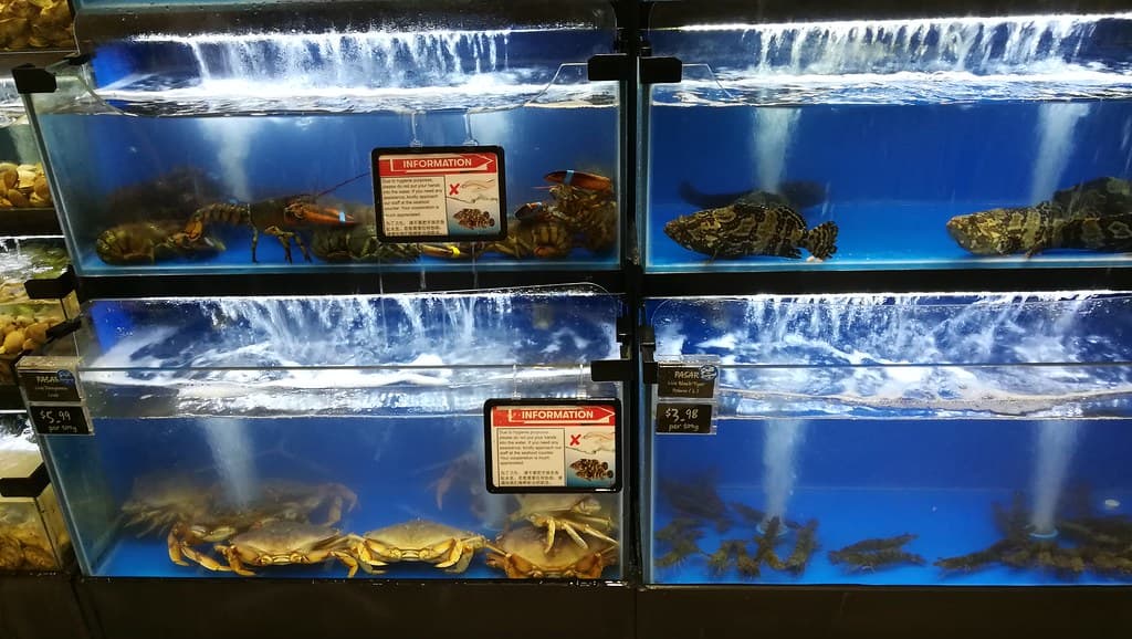 Live seafood for sale