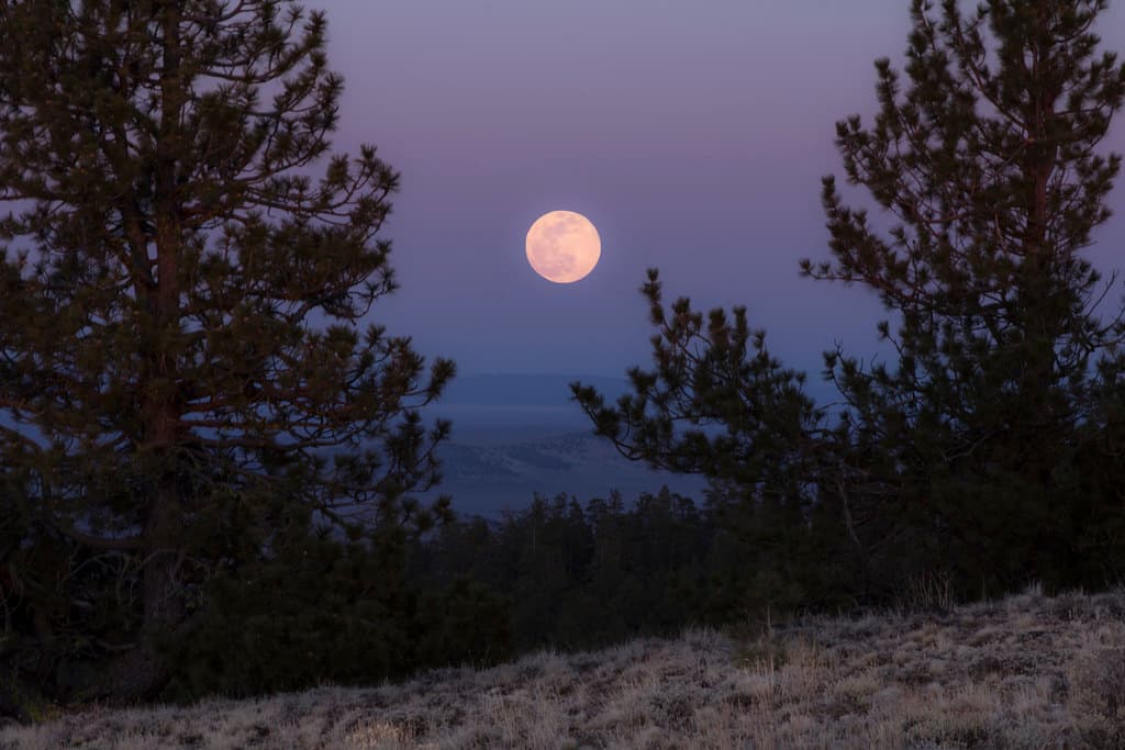 Pink moon, Pine Mountain Observatory, Oregon