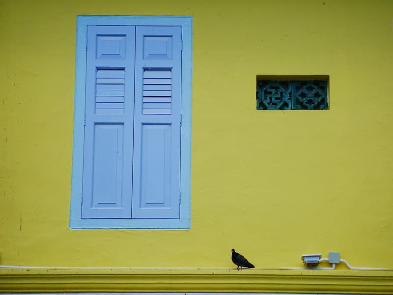 Window