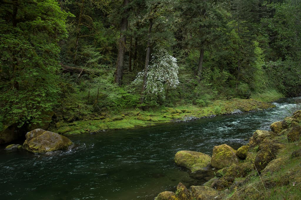 Mollala River, Oregon