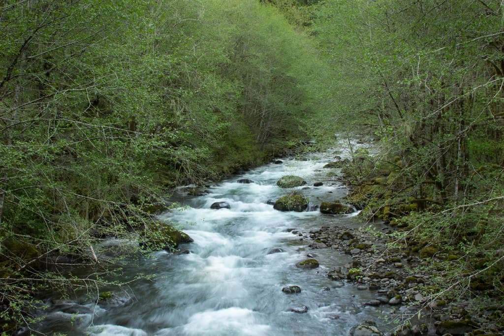 Table Rock Fork of the Mollala River, Oregon