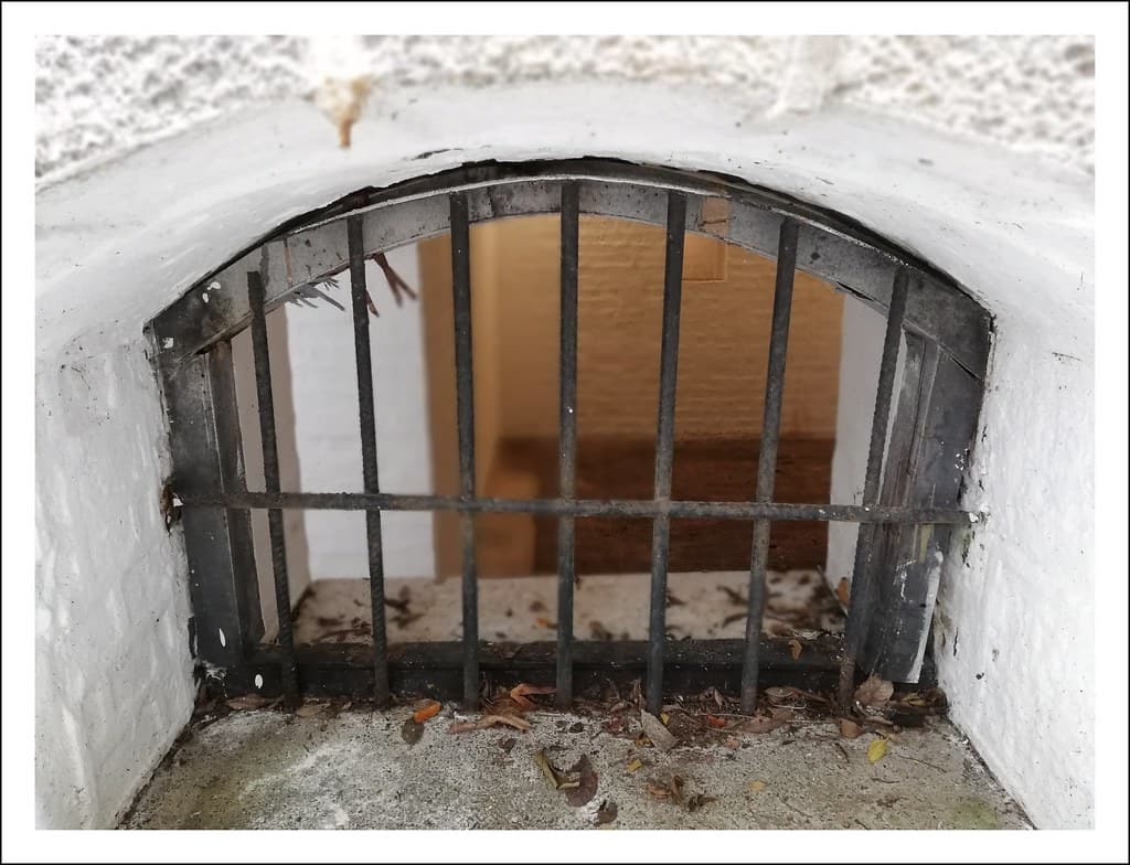 Window grill