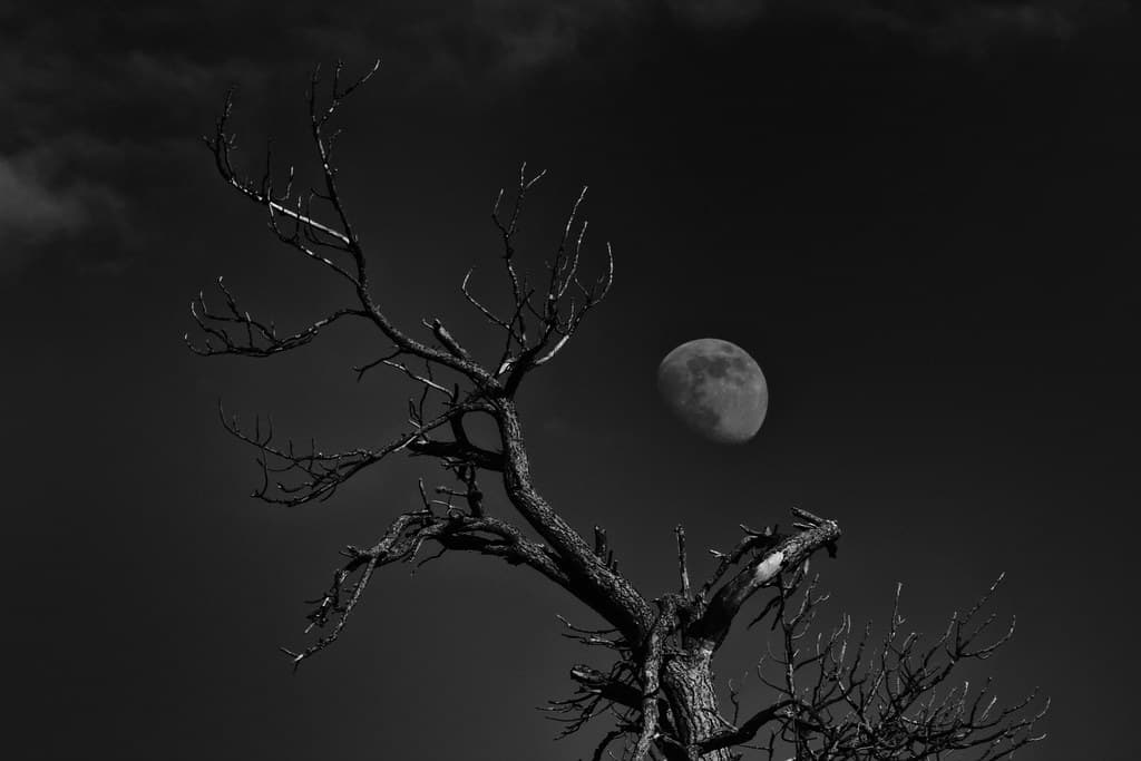 The Lesser Light