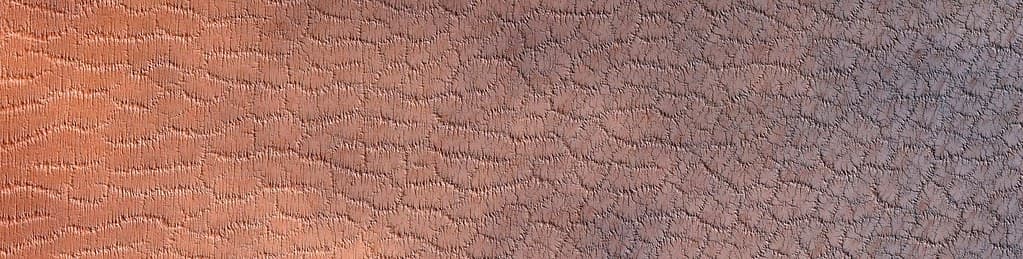 Mars - Polar Spider Trough Network (Lat: -85° Long: 259°)