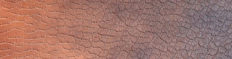 Mars - Polar Spider Trough Network (Lat: -85° Long: 259°)