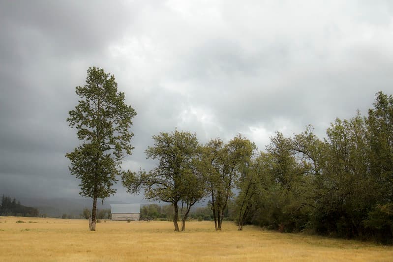 Misty rain and barn, Willamette Valley Oregon