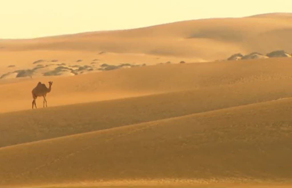 Desert Is My Kingdom-Oman