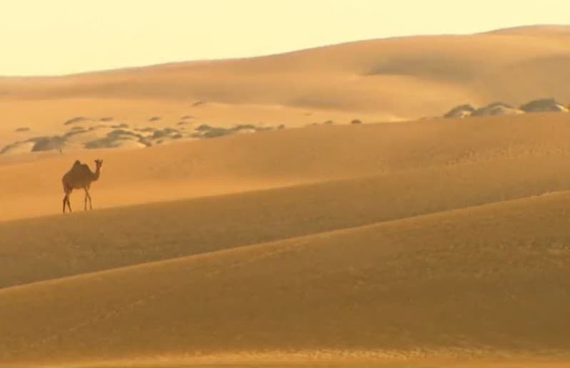 Desert Is My Kingdom-Oman
