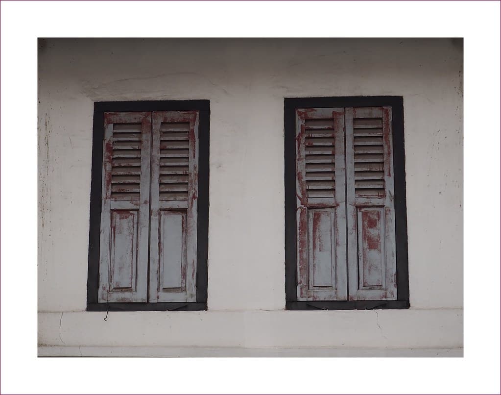 Bloody windows