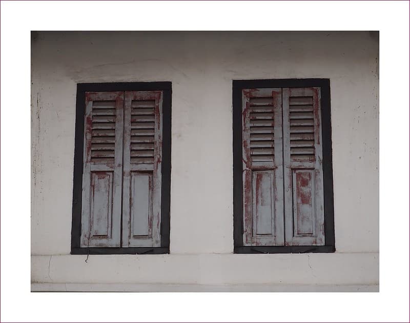 Bloody windows