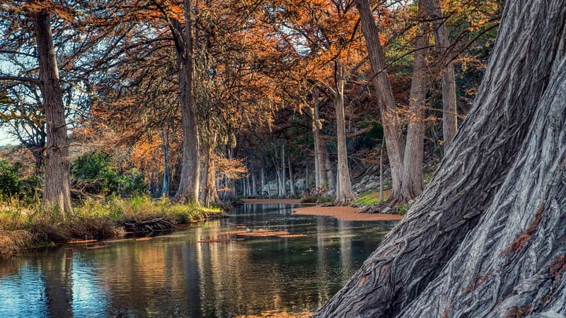Guadalupe River in Fall, TX Hill Country