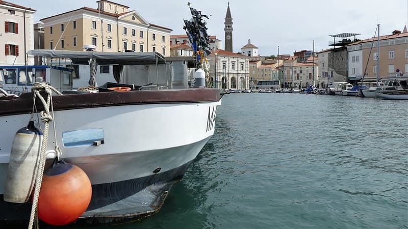 Fishing boats