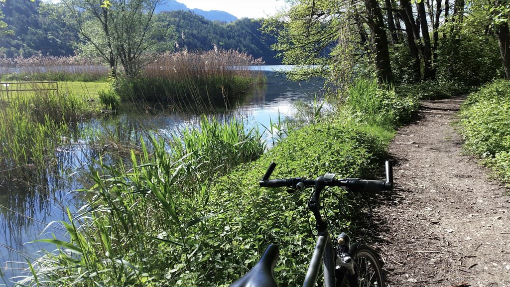Bicycle tour