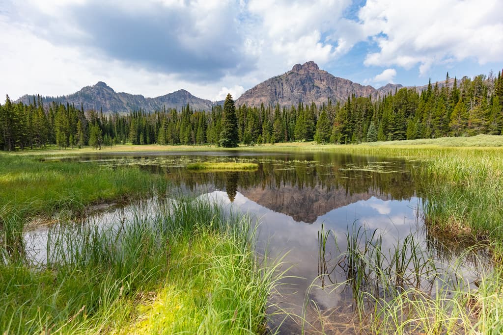 Custer-Gallatin National Forest, Knox Lake Trail: Monitor Peak Ridge