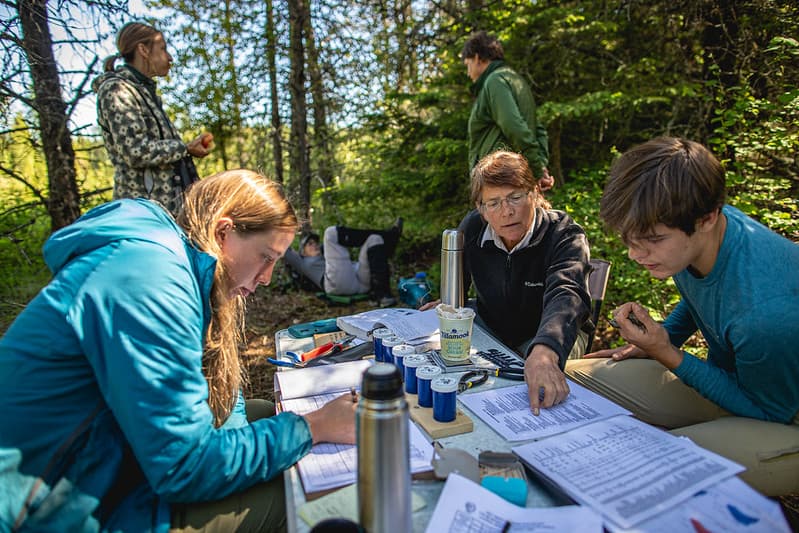 Scientists record data about birds