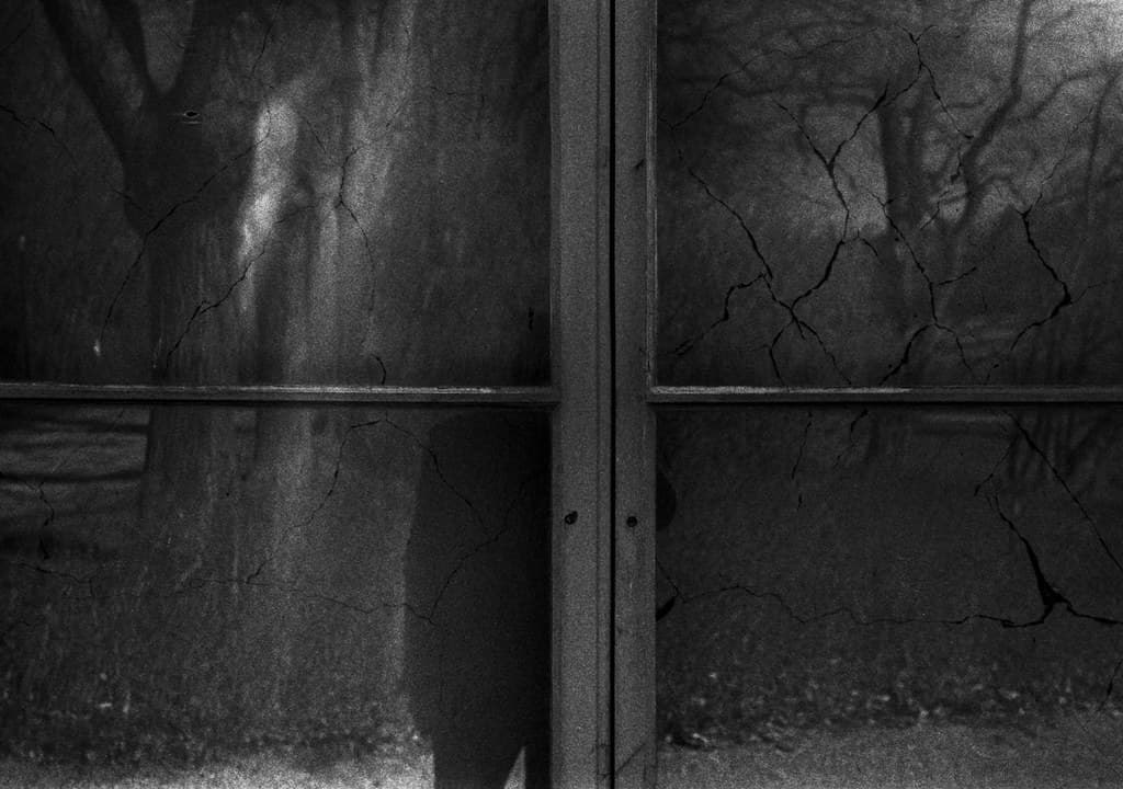 Window self