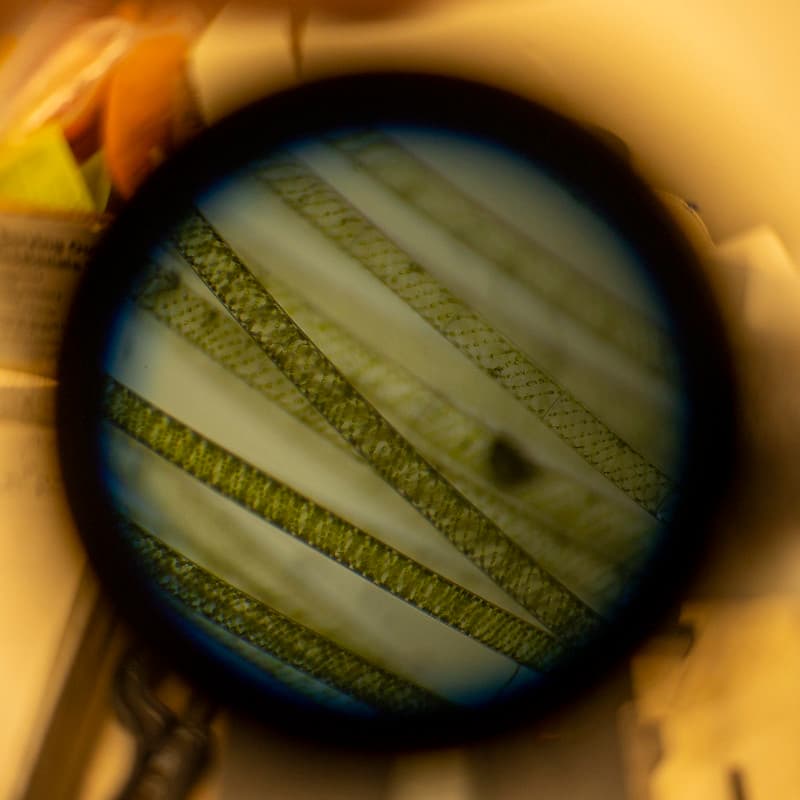 Pond Management Water Sample Algae Under Microscope